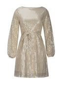 Sequin Tie Waist Long Sleeve Mini Dress